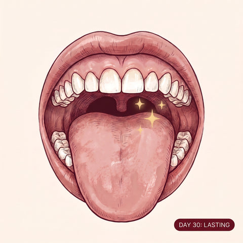 Illustrated tooth and gum tissue