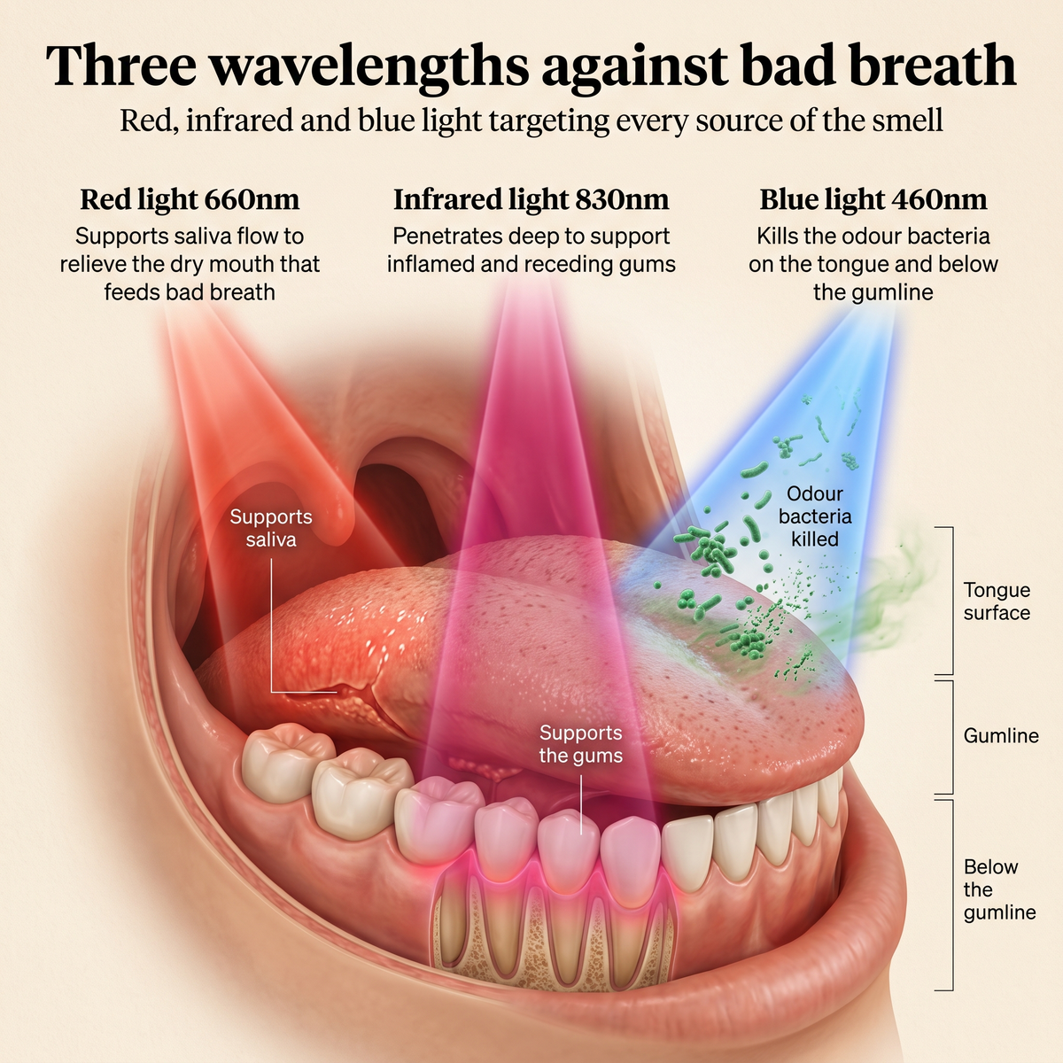 Helios Odour Eliminating Toothbrush
